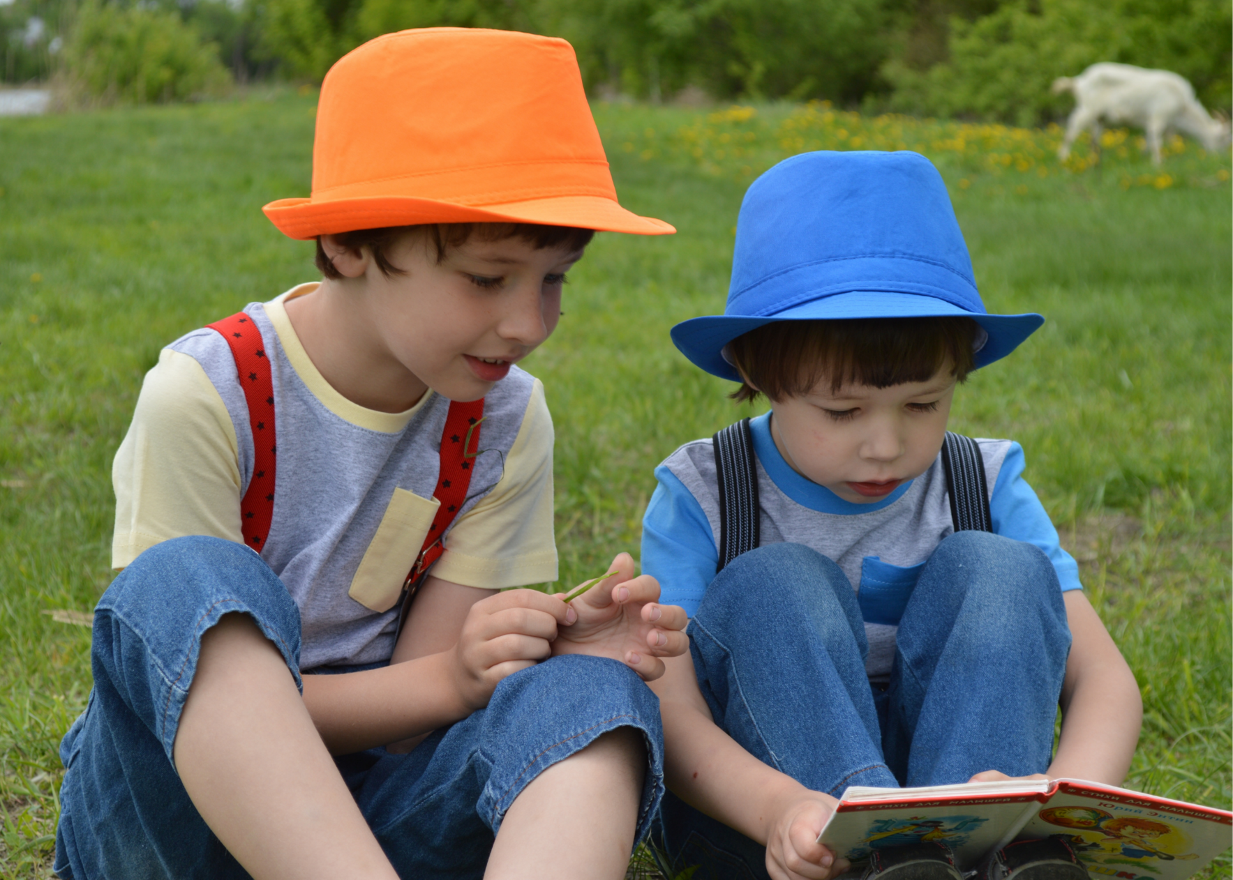 Support the Love of Reading in Children image