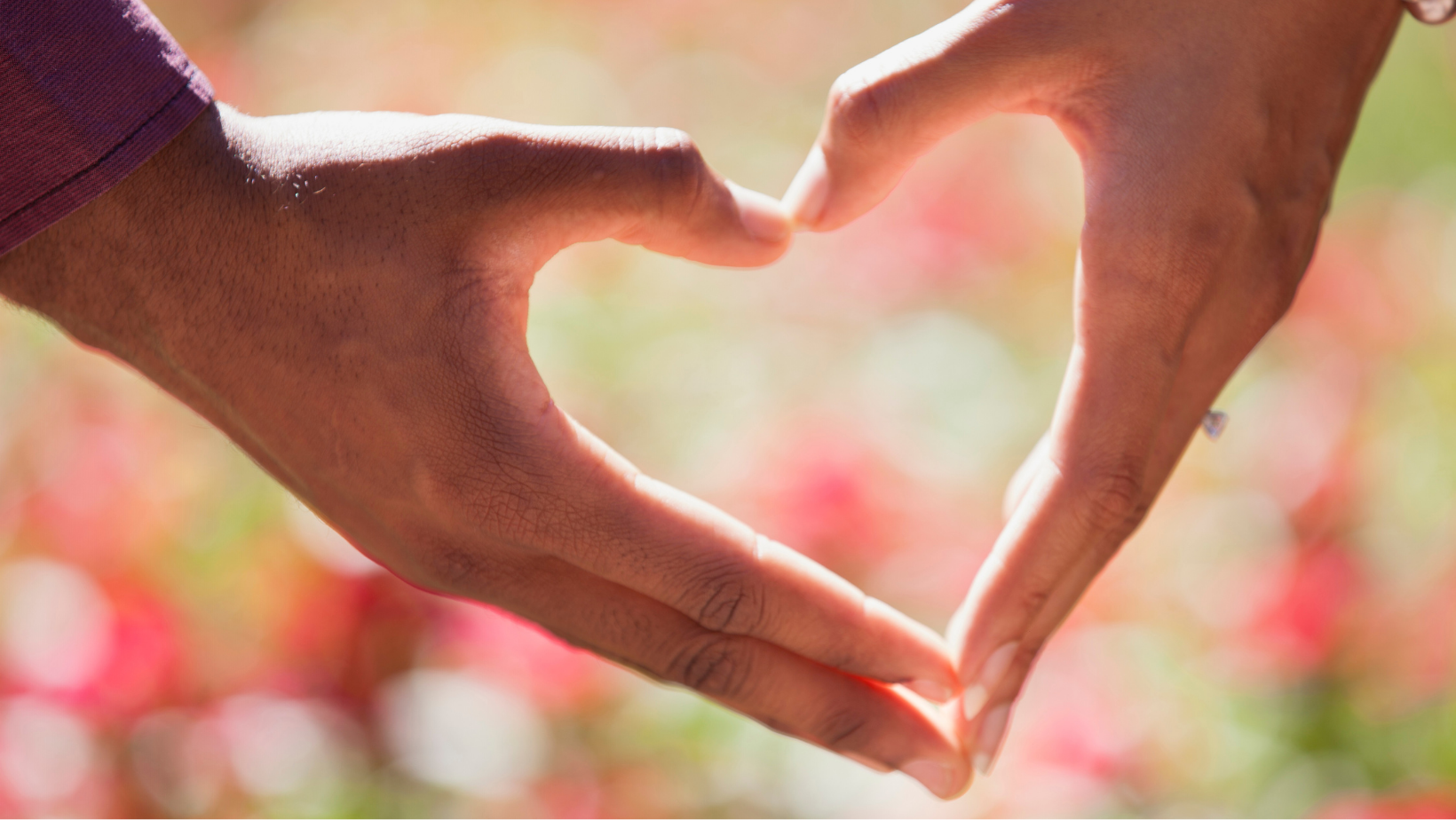 Will you support our Mission and Vision? image