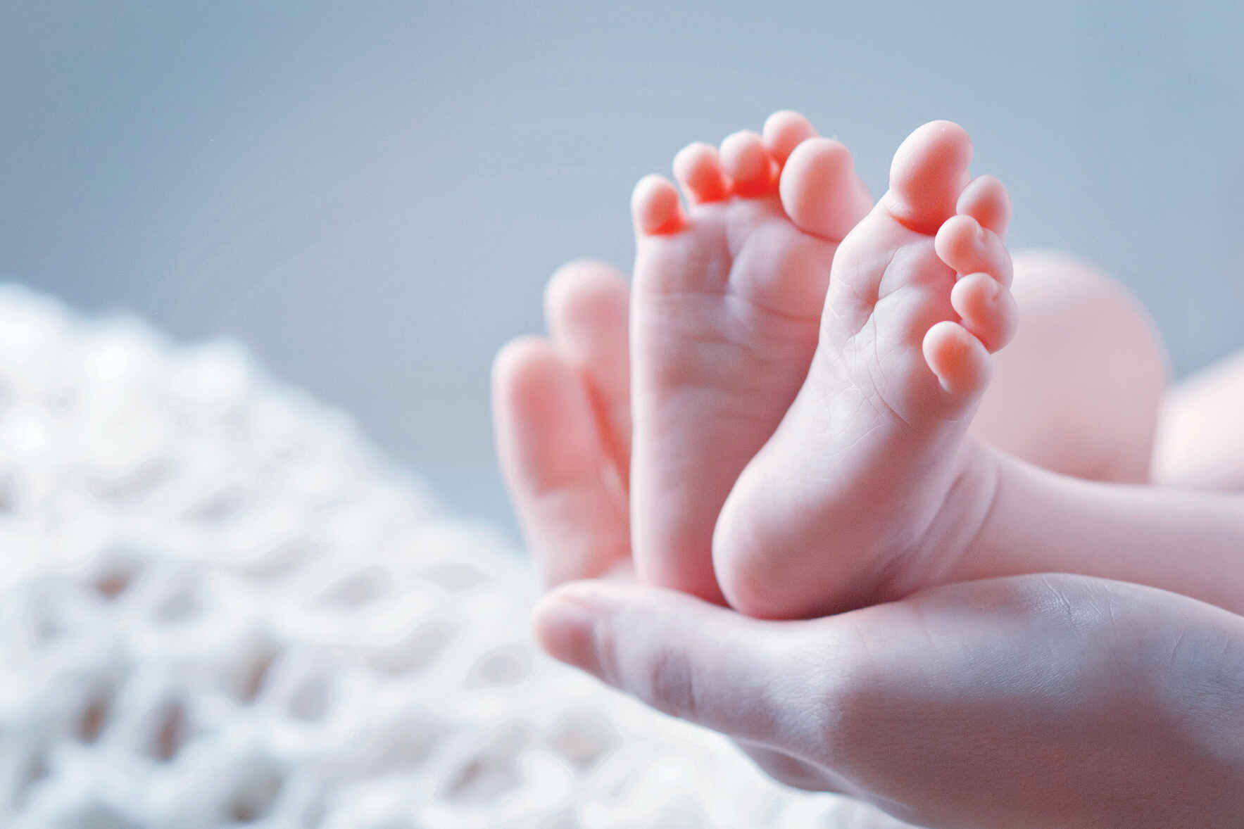 PPL equips Presbyterians to champion human life at every stage. image