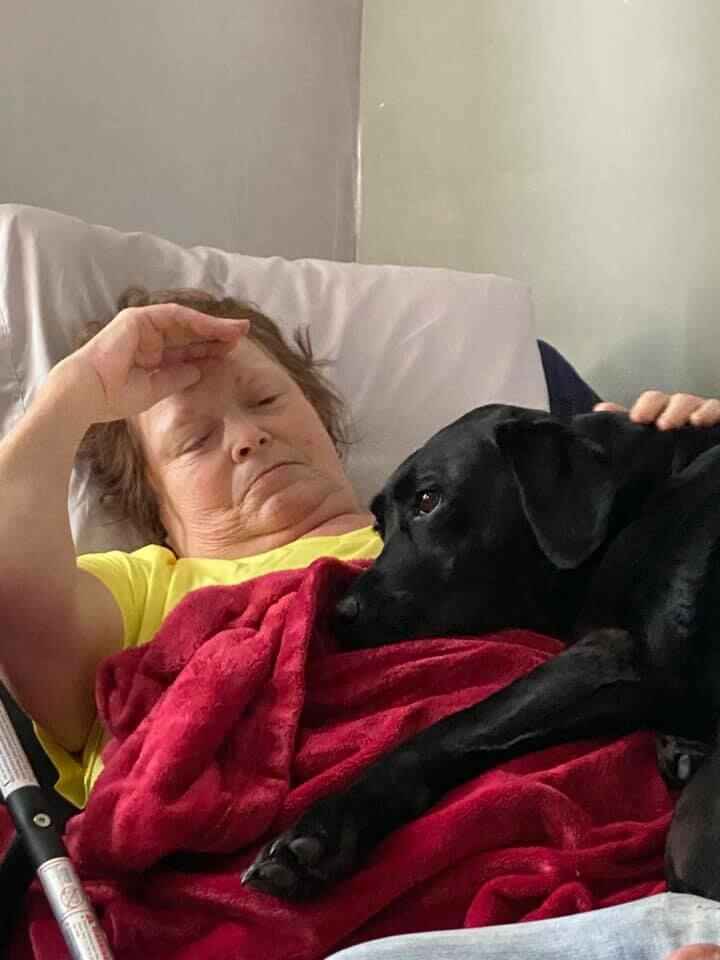 Please Support Suzie Belknapp's Love of Animals image