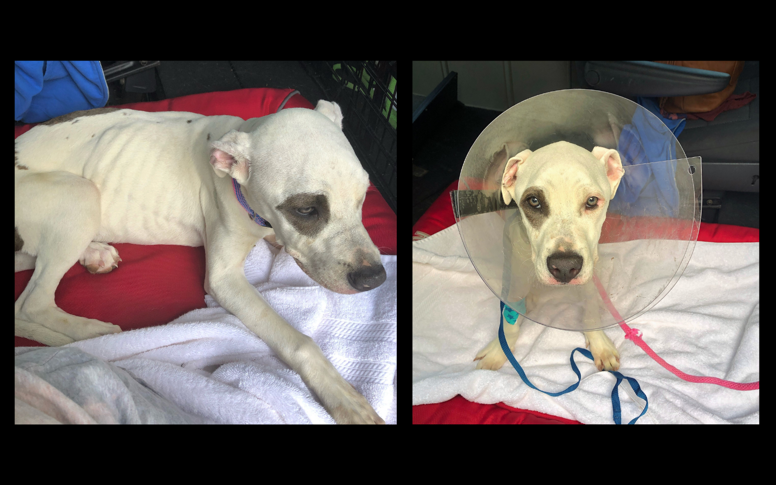 Penny Got Lucky, Help Us Keep It That Way image