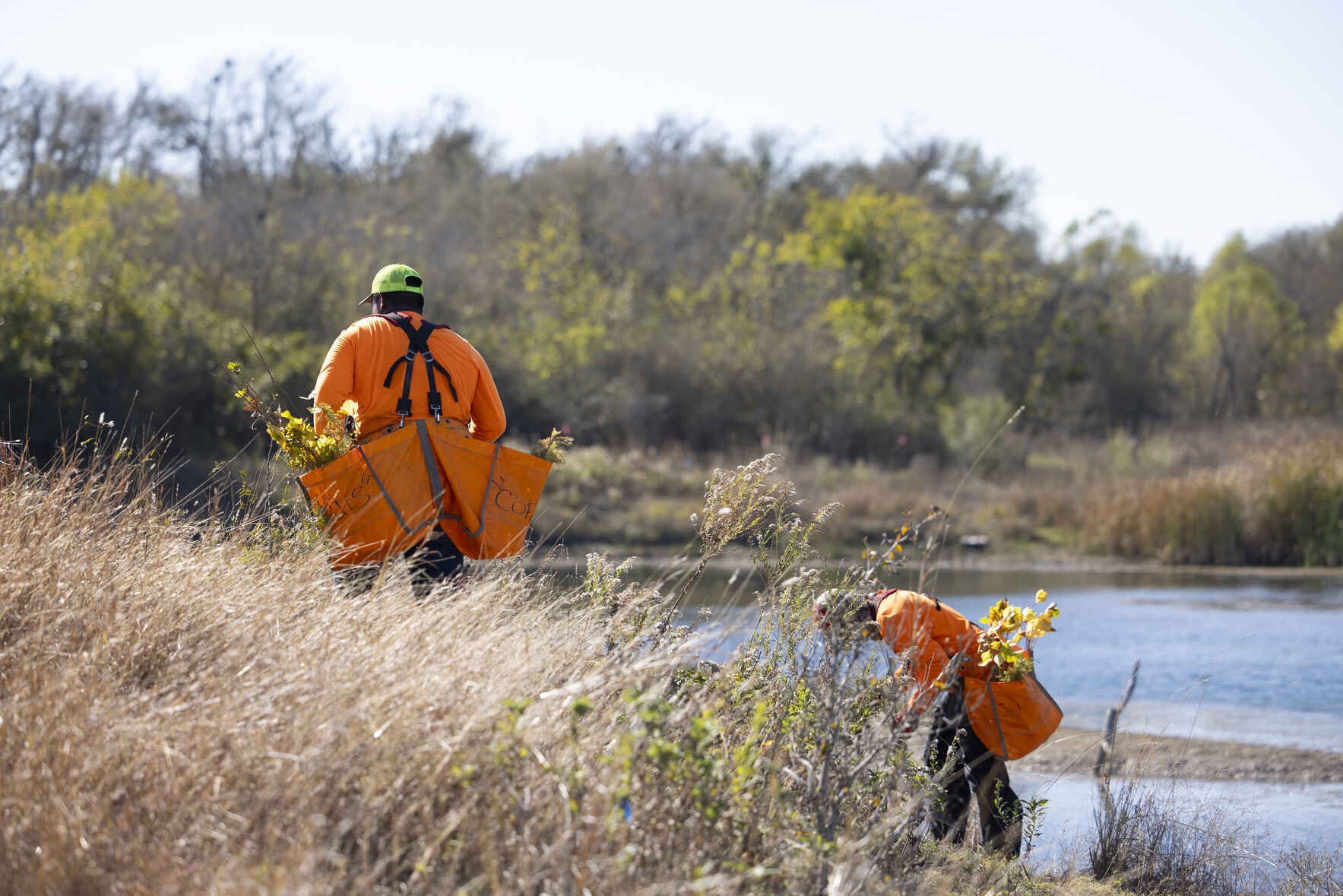 Make Your Impact Today! image