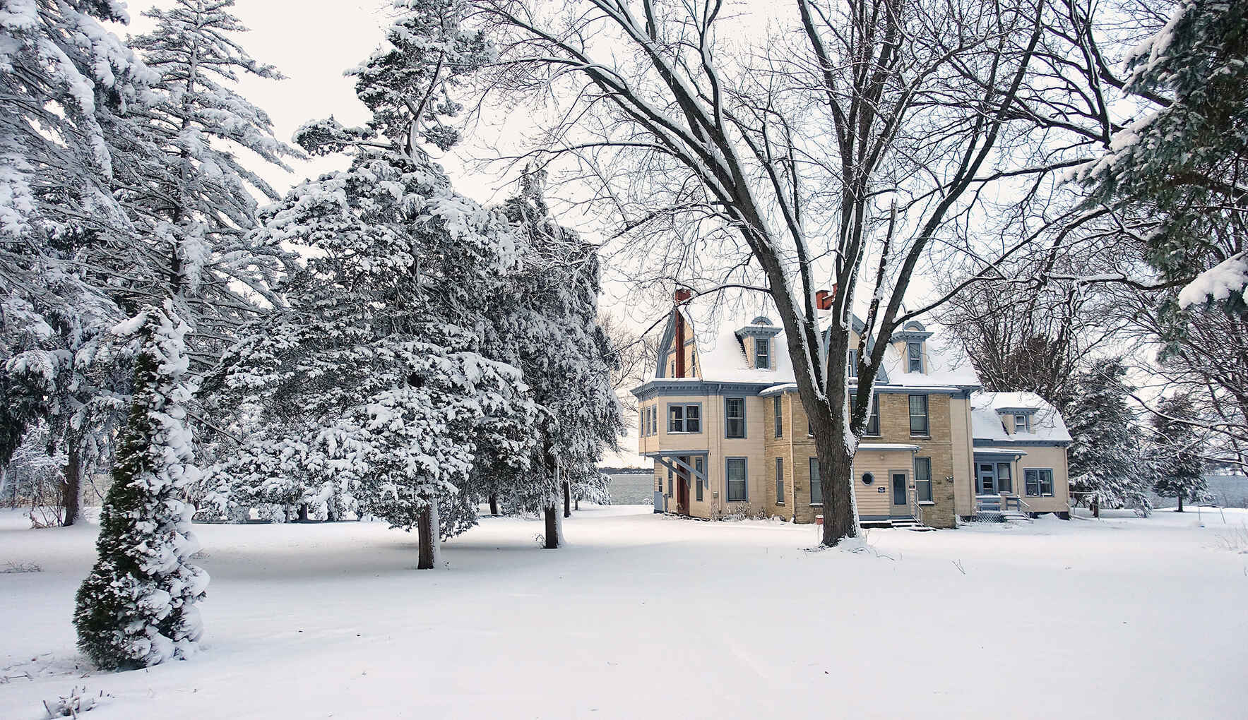 Give today to Create a Legacy, Together for San Damiano! image