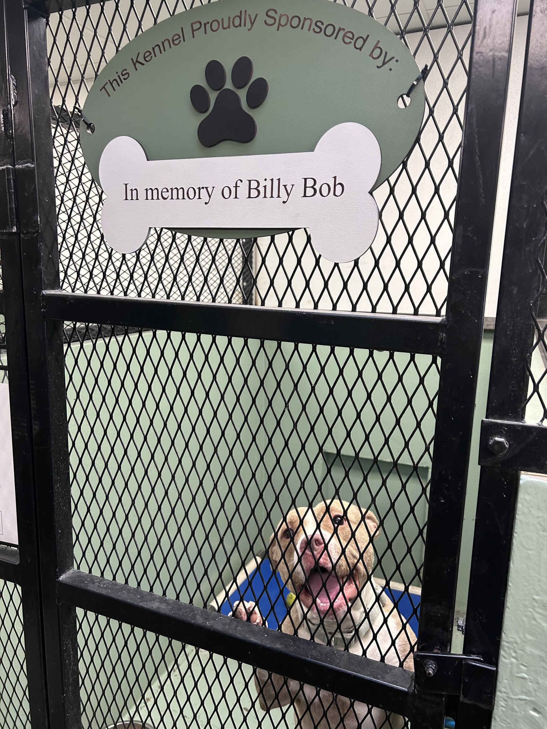 Sponsor a Kennel image