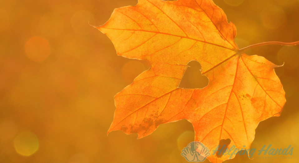 2021 Year-End Fundraiser image