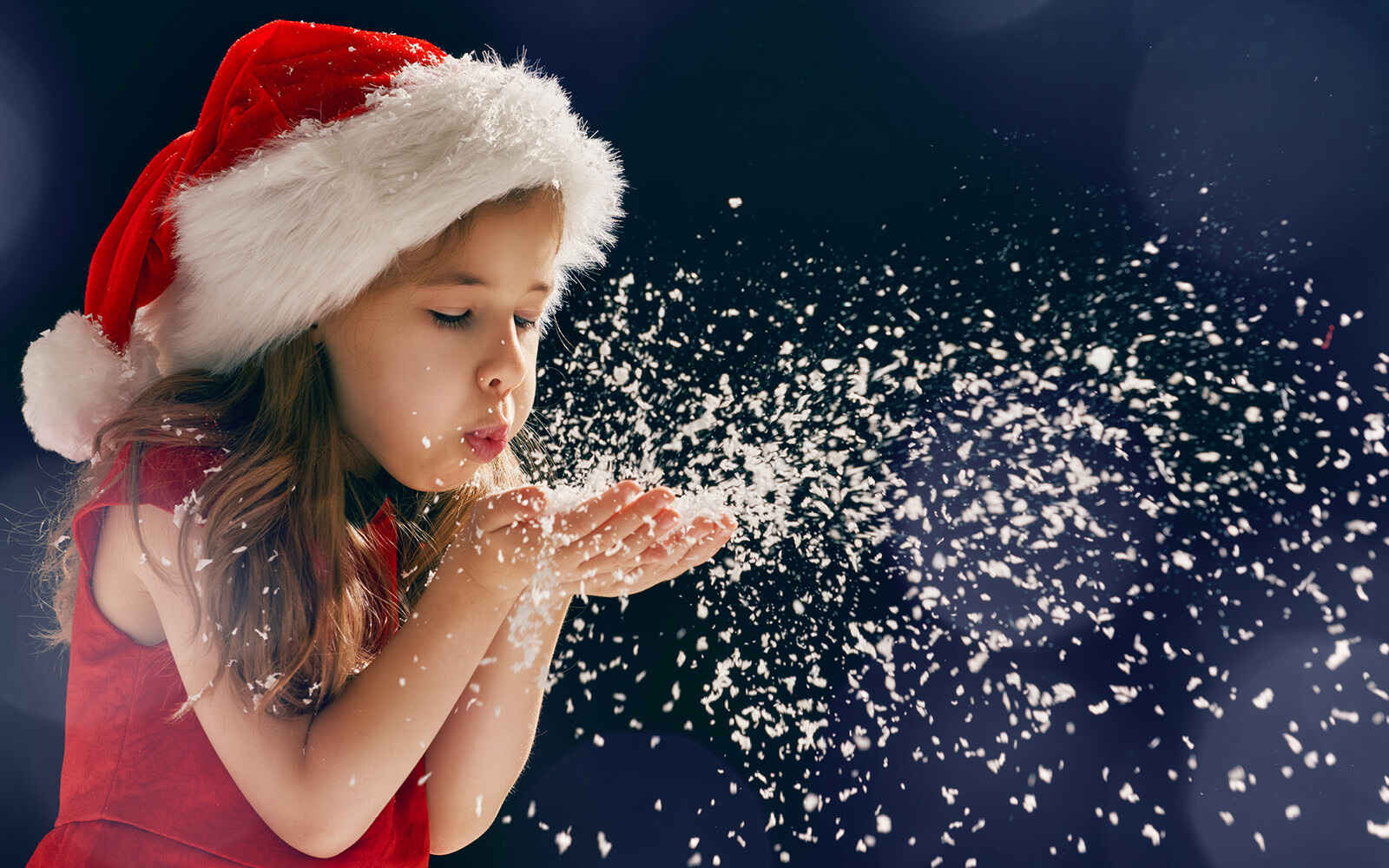 This holiday fundraiser runs December 1-12. Any monetary donation you make is increased by funds provided by generous sponsors and supporters. image