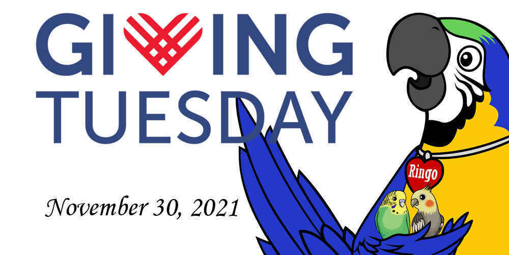 Help us end the year on a high note! image