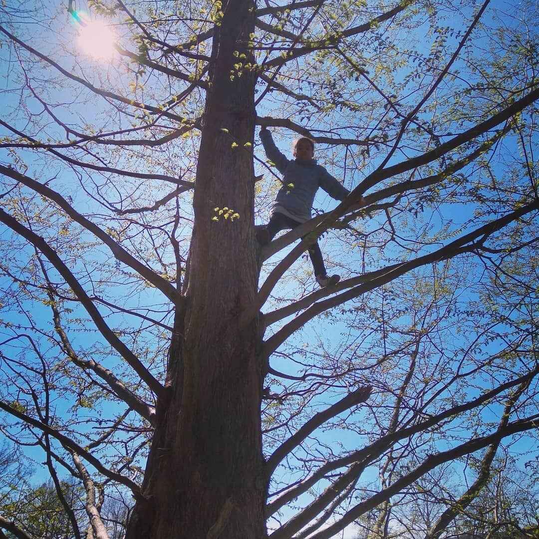 Donate now to give all children the healing power of play image