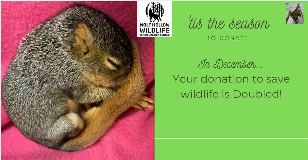 Double your Donation! image