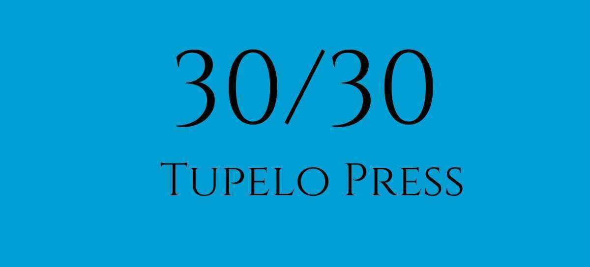 Help us support Tupelo Press and the Humanities image