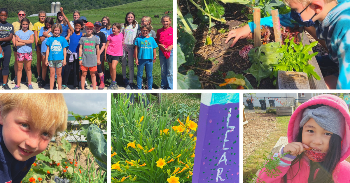 Grow La Crosse Support seed to table garden based education in 2022