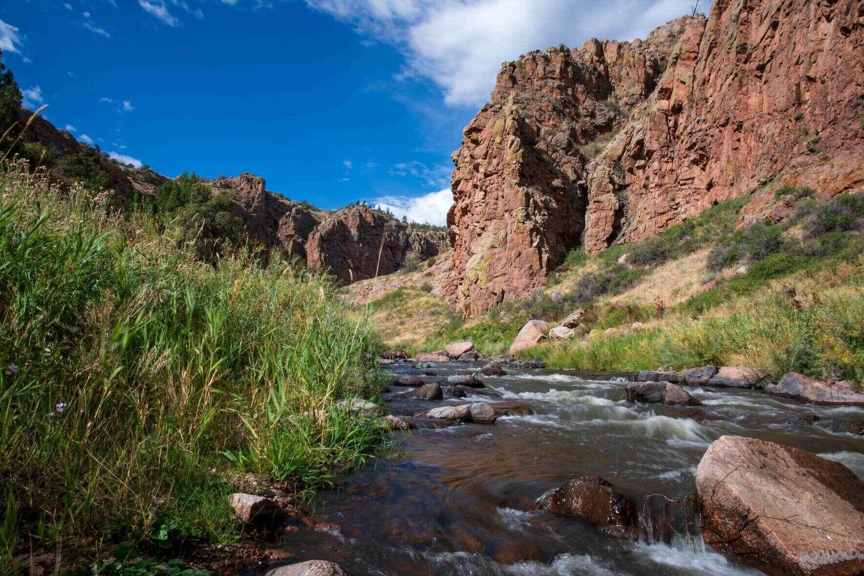 Support a healthy and resilient Poudre River Watershed! image