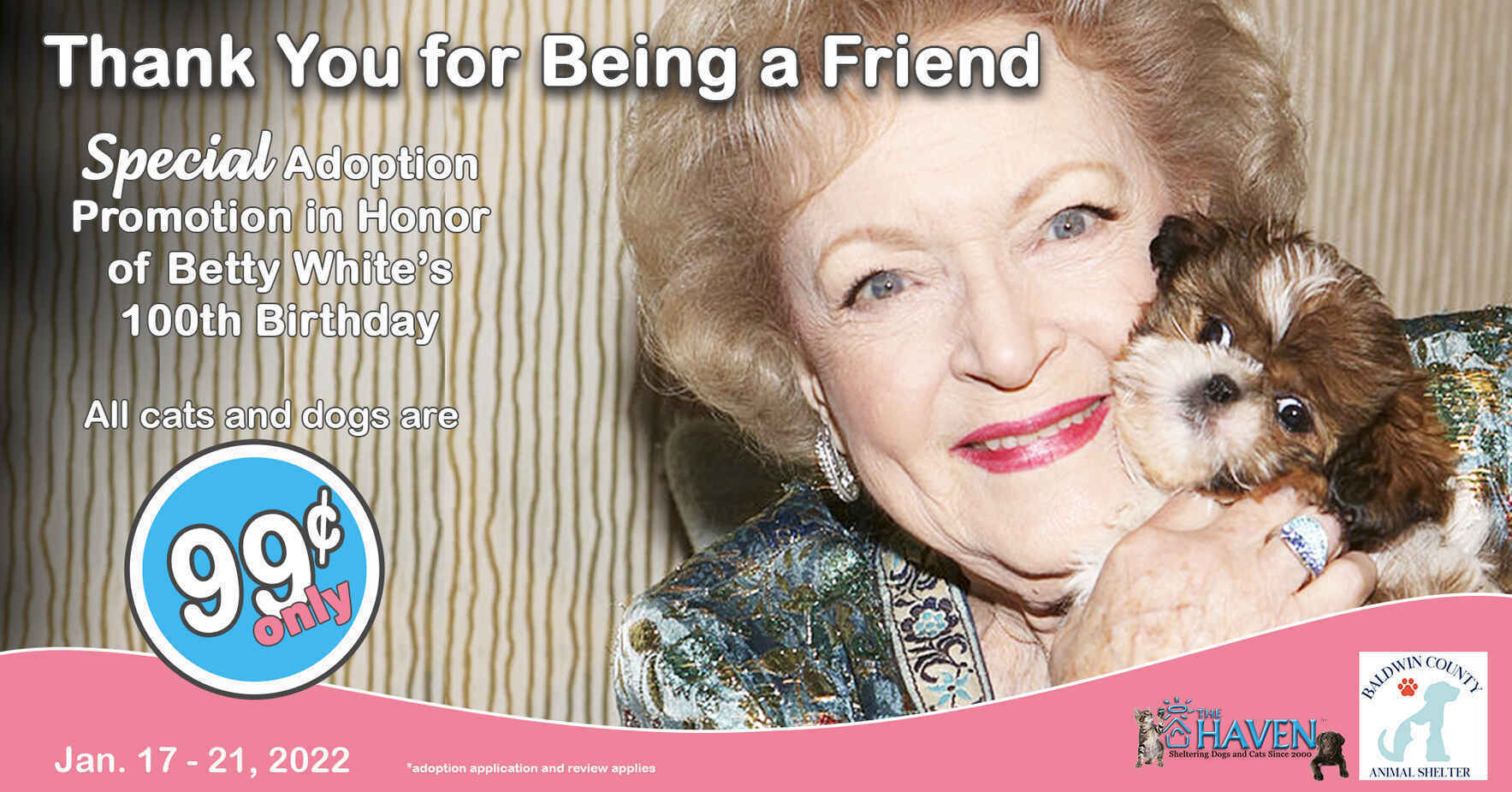 THE HAVEN Betty White Challenge