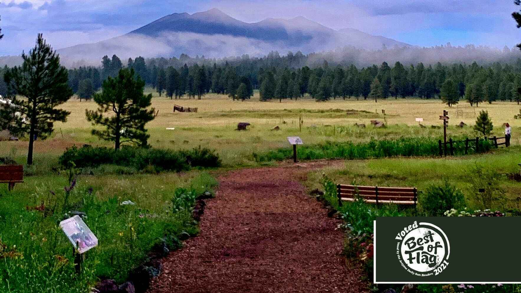 Would you like to sponsor The Arb this season? image