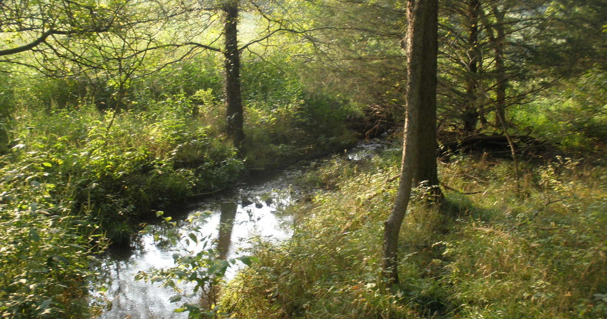 Kansas Alliance for Wetlands and Streams Inc - For a Good KAWS