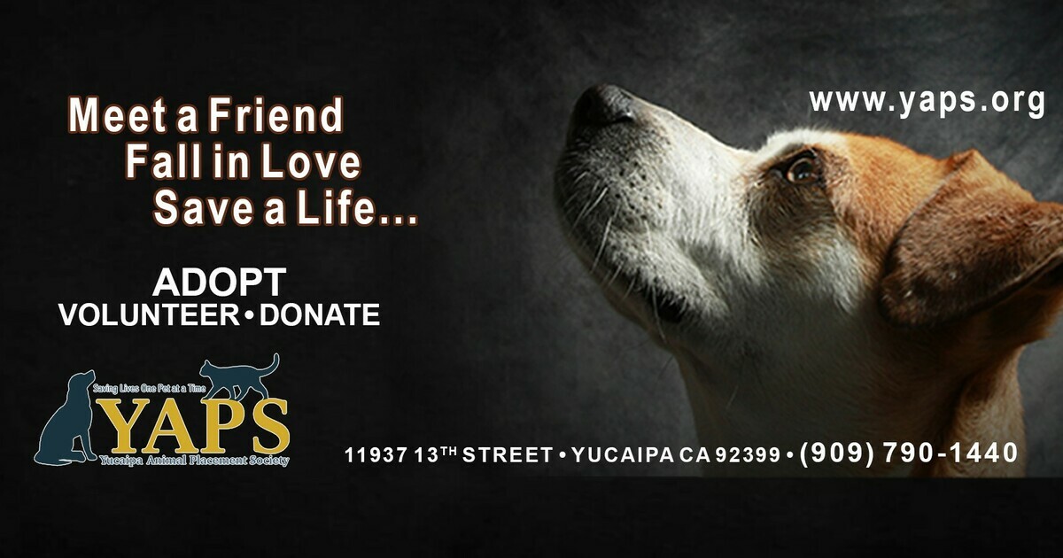 Yucaipa Valley Animal Placement Society Donate to YAPS