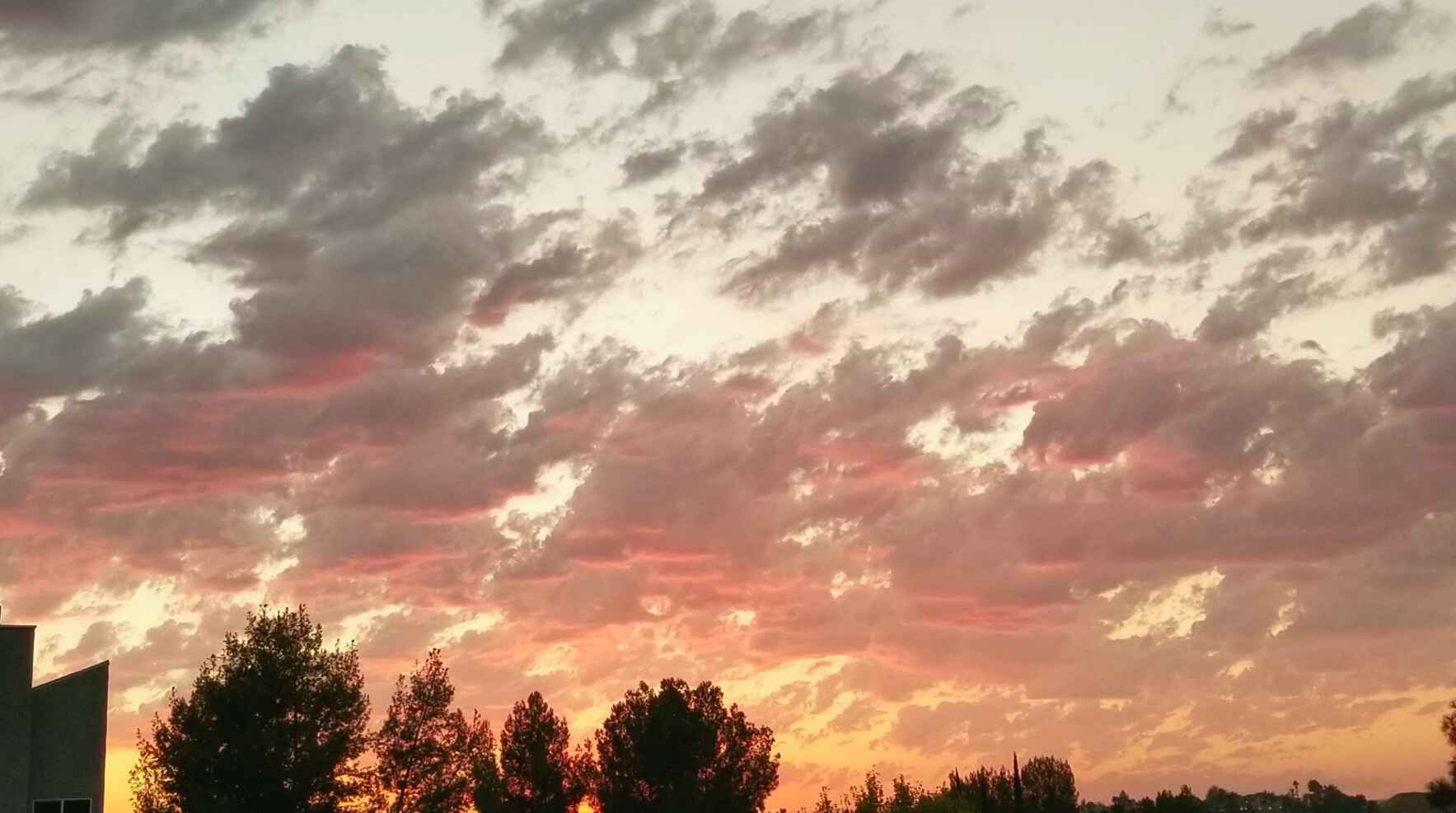 Stories Save Lives image