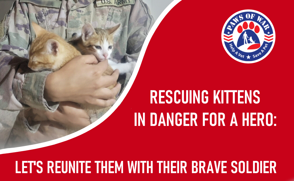 HELP SAVE PEPITO AND JULIAN FROM THE MIDDLE EAST image