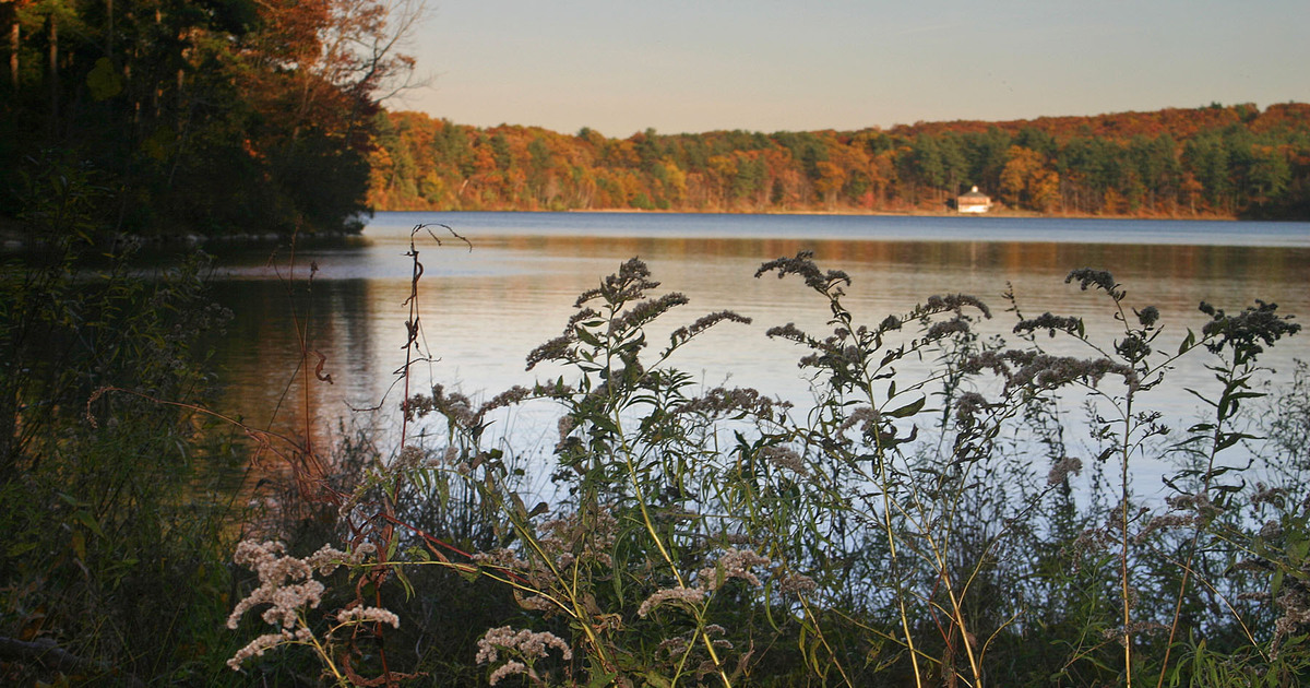 The Walden Woods Project Celebrate 100 years of WPSR with a Gift of 100