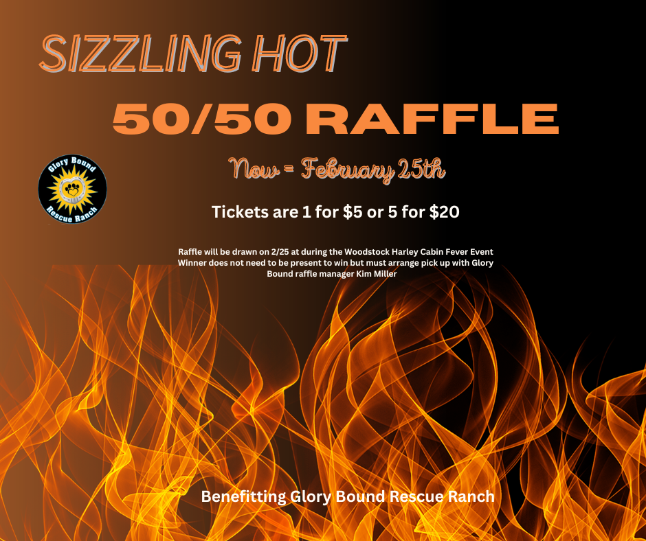 Sizzling HOT 50/50  RAFFLE ** Click the ORANGE Donate Button to Purchase**  image