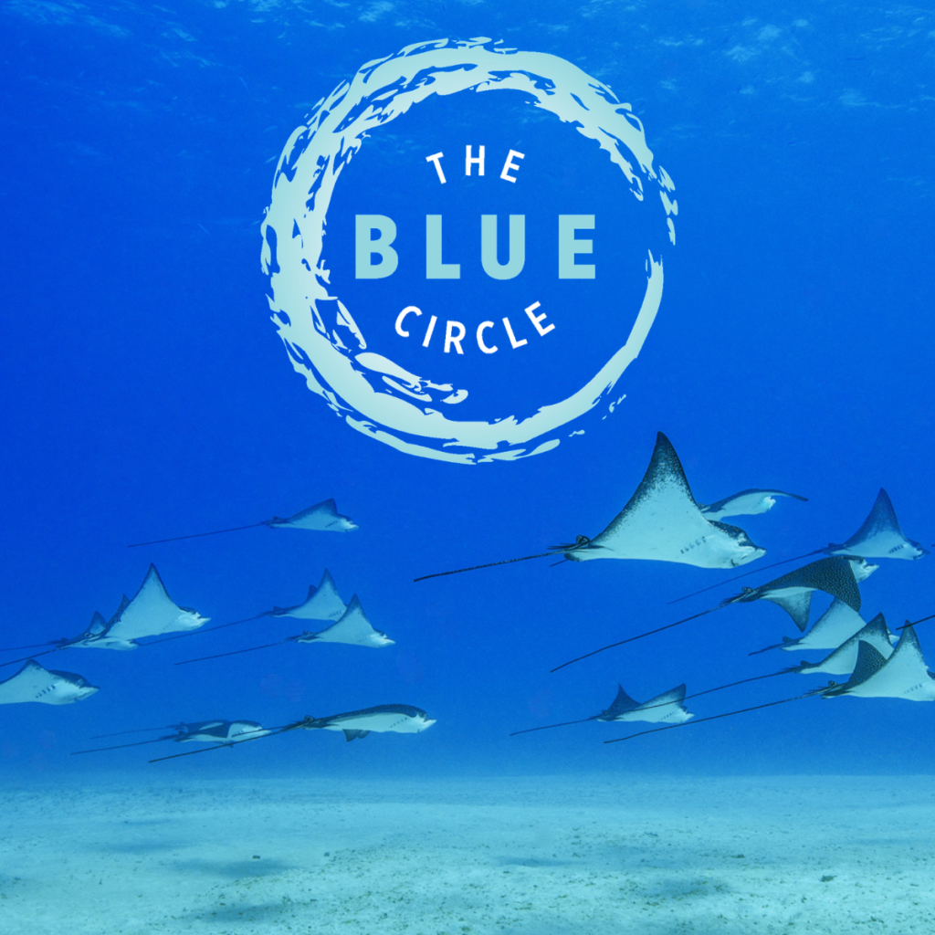 The Blue Circle image
