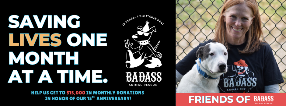 Save a Badass with a Recurring Gift Today! image