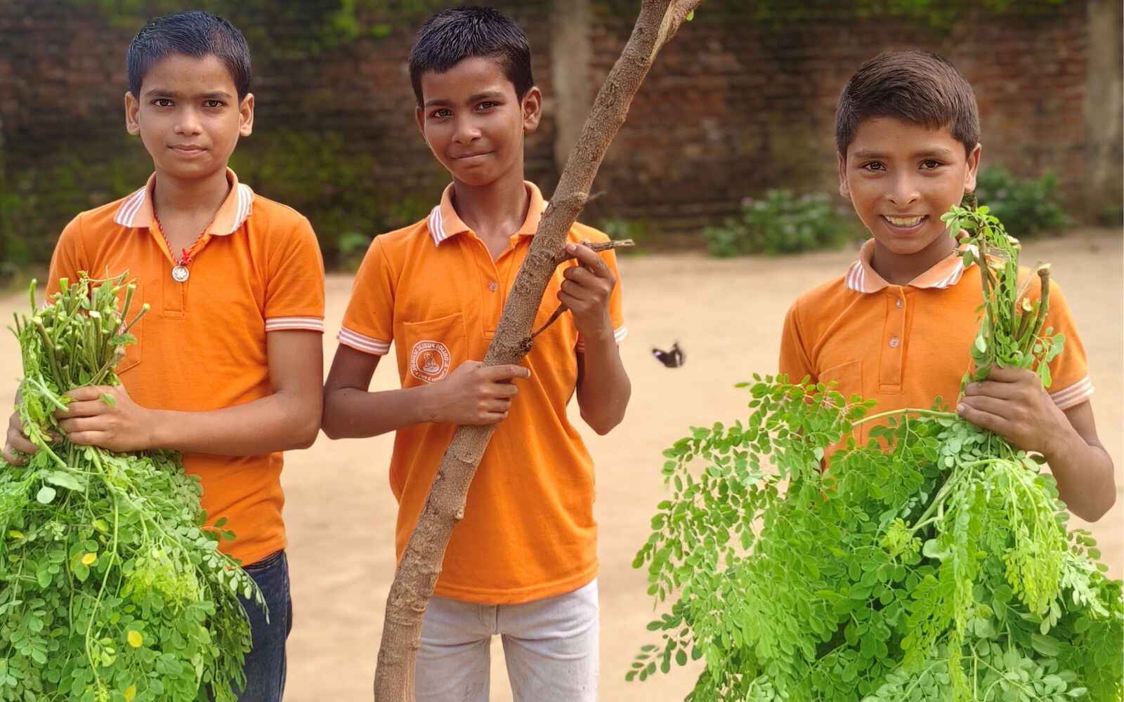 Healthy Families - Healthy World image