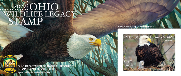 Enter to win an original signed photo & Ohio Wildlife Legacy Stamp by contest winner Jen Beck! image
