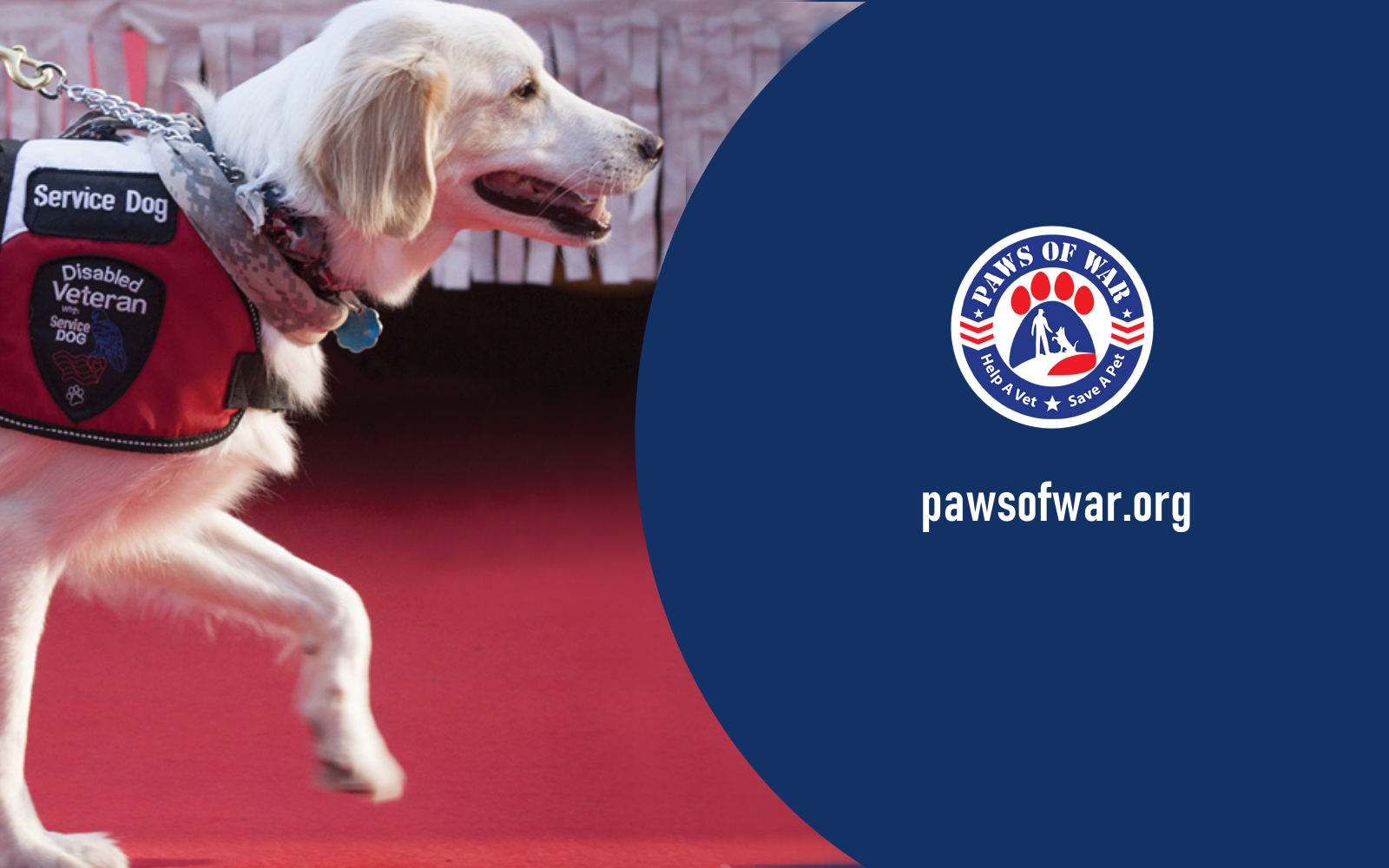 Help Give A Hero A Service Dog image