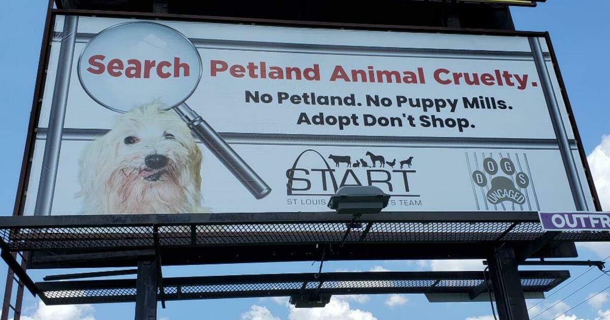 St Louis Animal Rights Team START Billboard Fundraiser