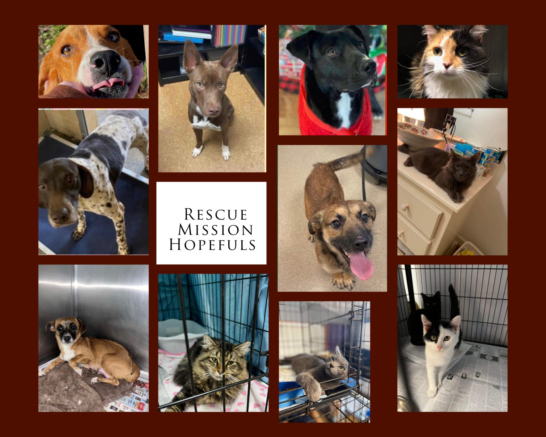 $ 8590 STILL NEEDED - Please donate and share image
