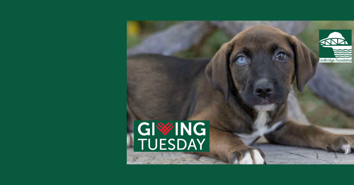 Footbridge Foundation Inc - Giving Tuesday 2022 November 29th Campaign