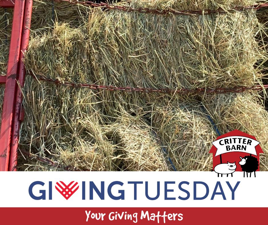 Yes! I want to help buy hay for the animals!  image