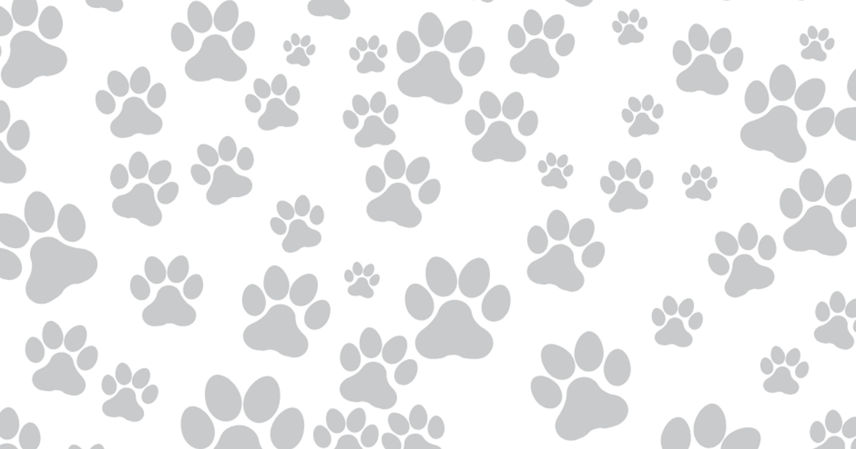 Spay Memphis End of Year Appeal 2022