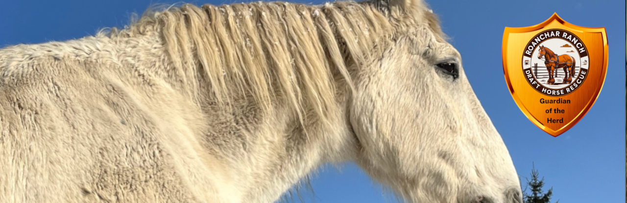 Your Monthly Gift Saves Lives image