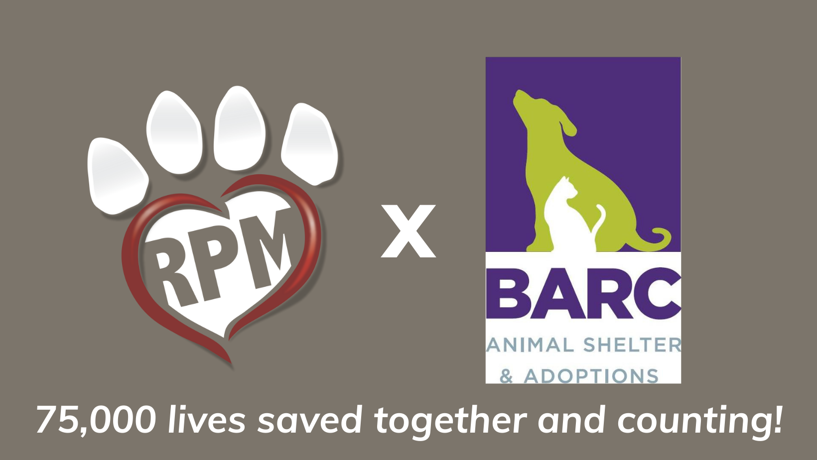 Help RPM keep saving euthanasia list animals from BARC  image