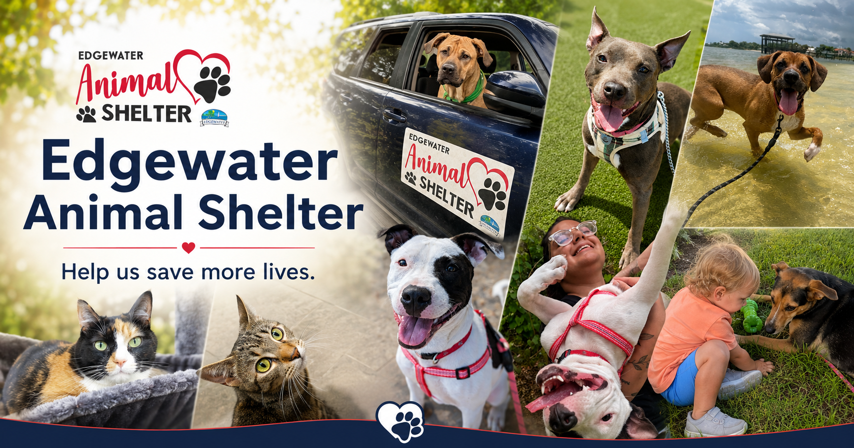 Help Edgewater Animal Shelter Save More Lives image