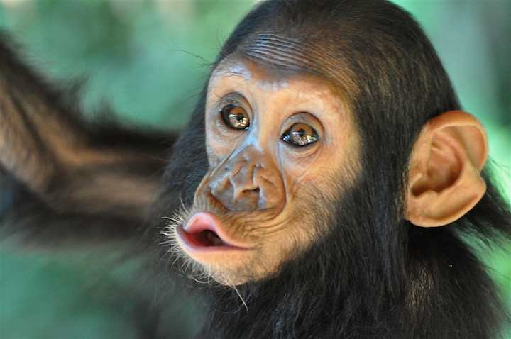 The Best Gift Catalog Ever image