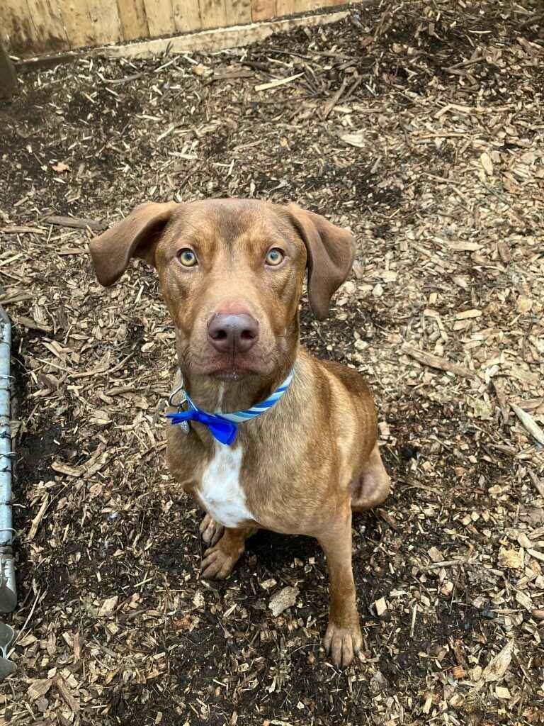 A Chance for Cash! image