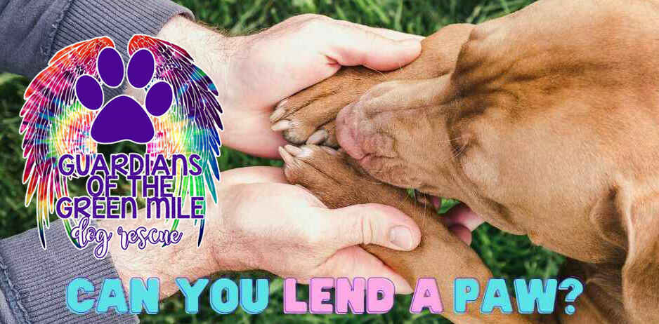 Donate to save lives! image