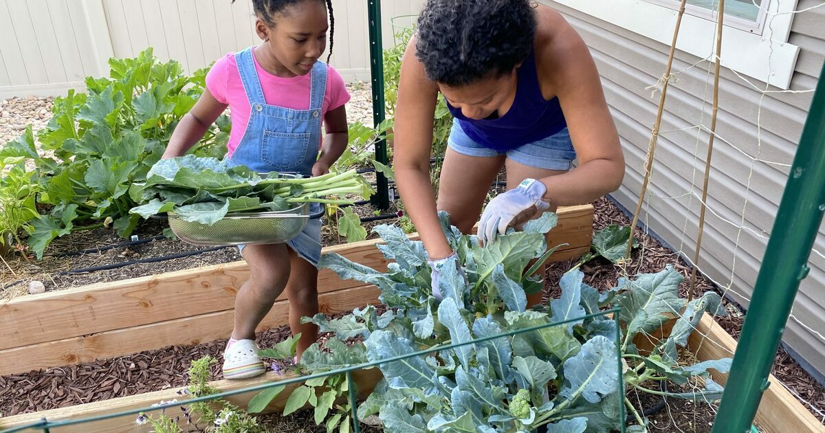 Sodexo Stop Hunger Foundation, Inc. 2023 Love the Virtual Food