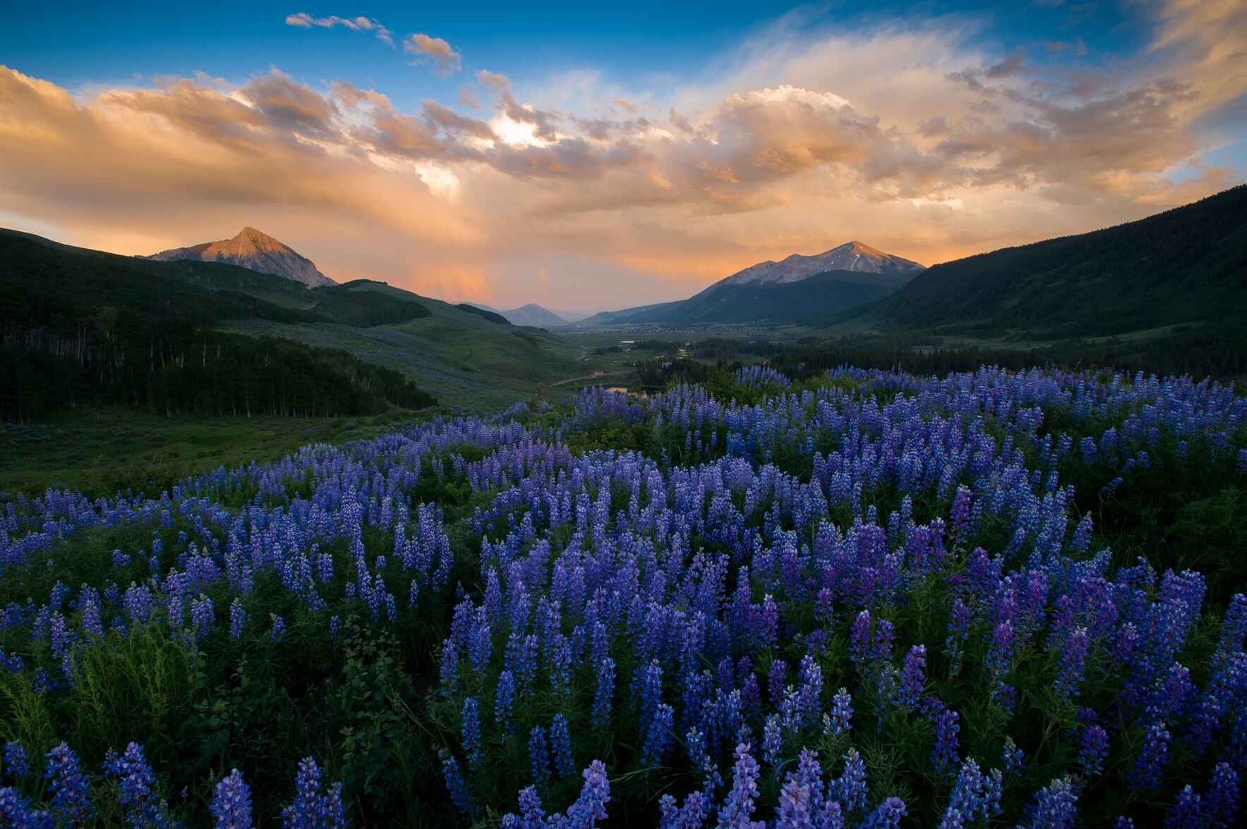 Donate now to provide free mental health access for any Gunnison Valley resident in need. image