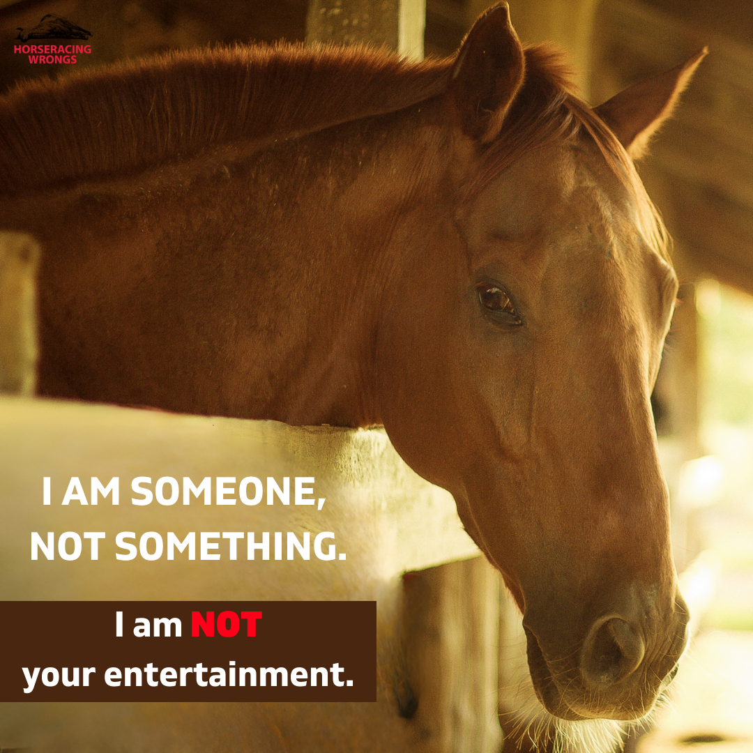 Help End Horseracing image