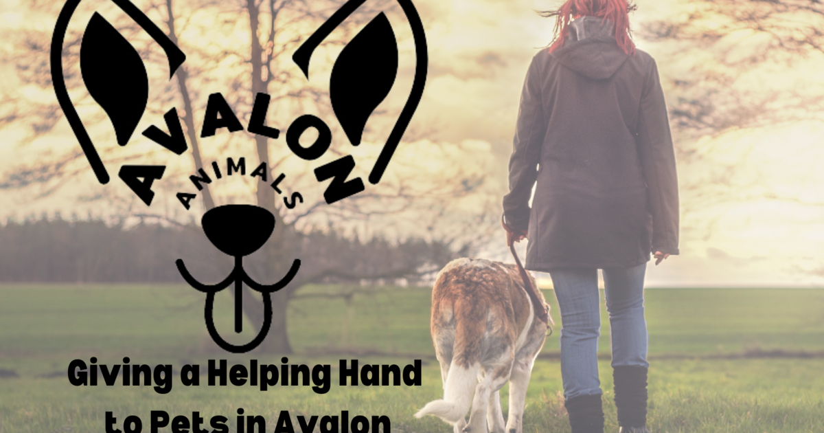 Chappy & Friends Avalon Animals