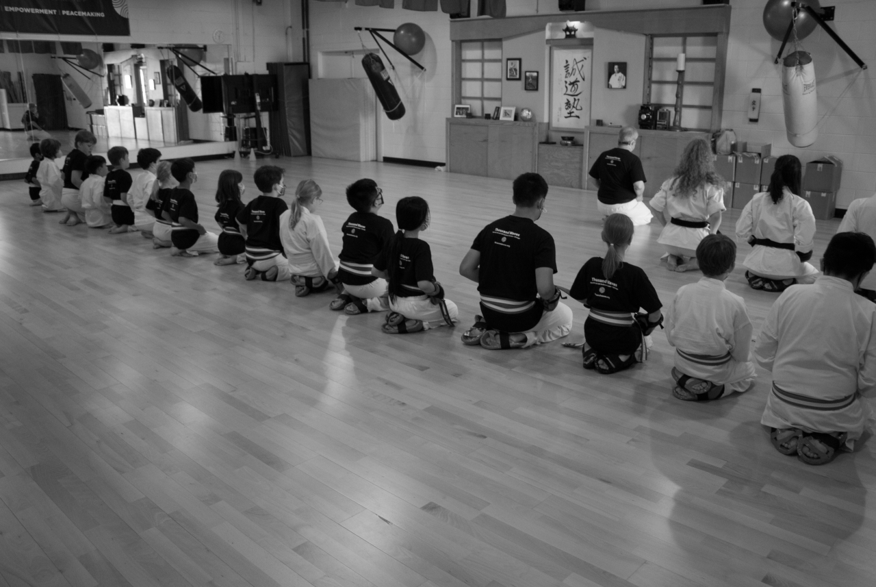 Help keep Thousand Waves' Scholarship, Self-Defense, and Adapted Seido Karate programs strong. image