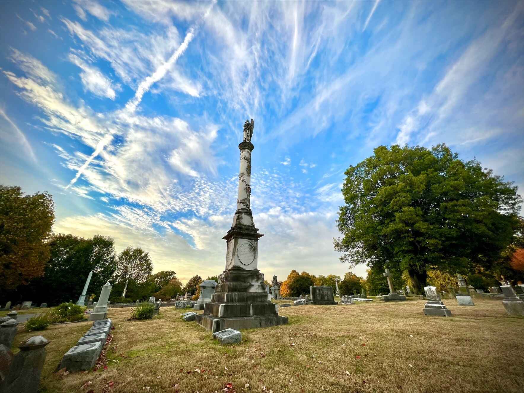 Love. Give. Support Elmwood Cemetery.  image