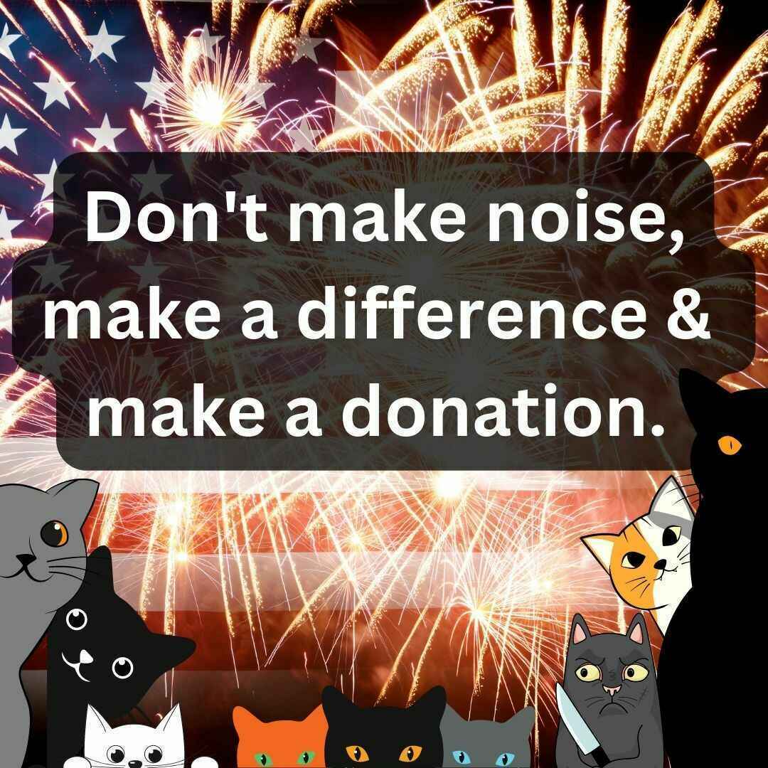  2023 Don't make noise, make a difference &  make a donation. image