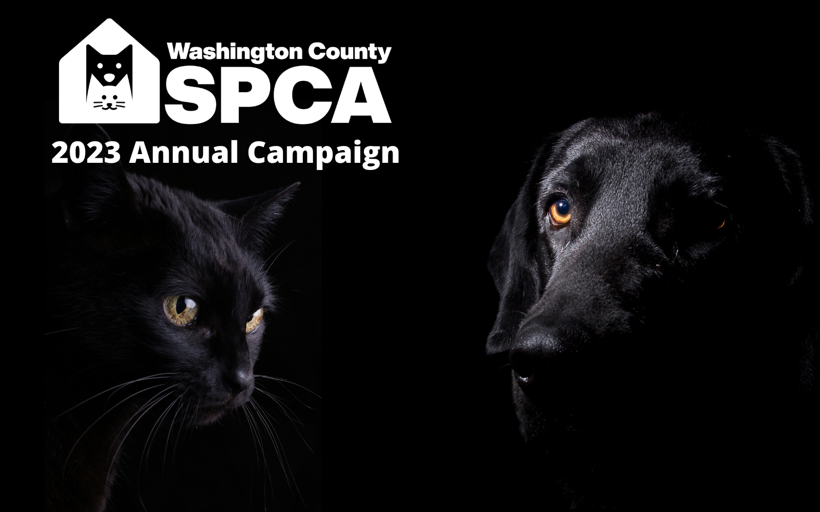 Save Lives with Your 2023 Annual Campaign Gift image