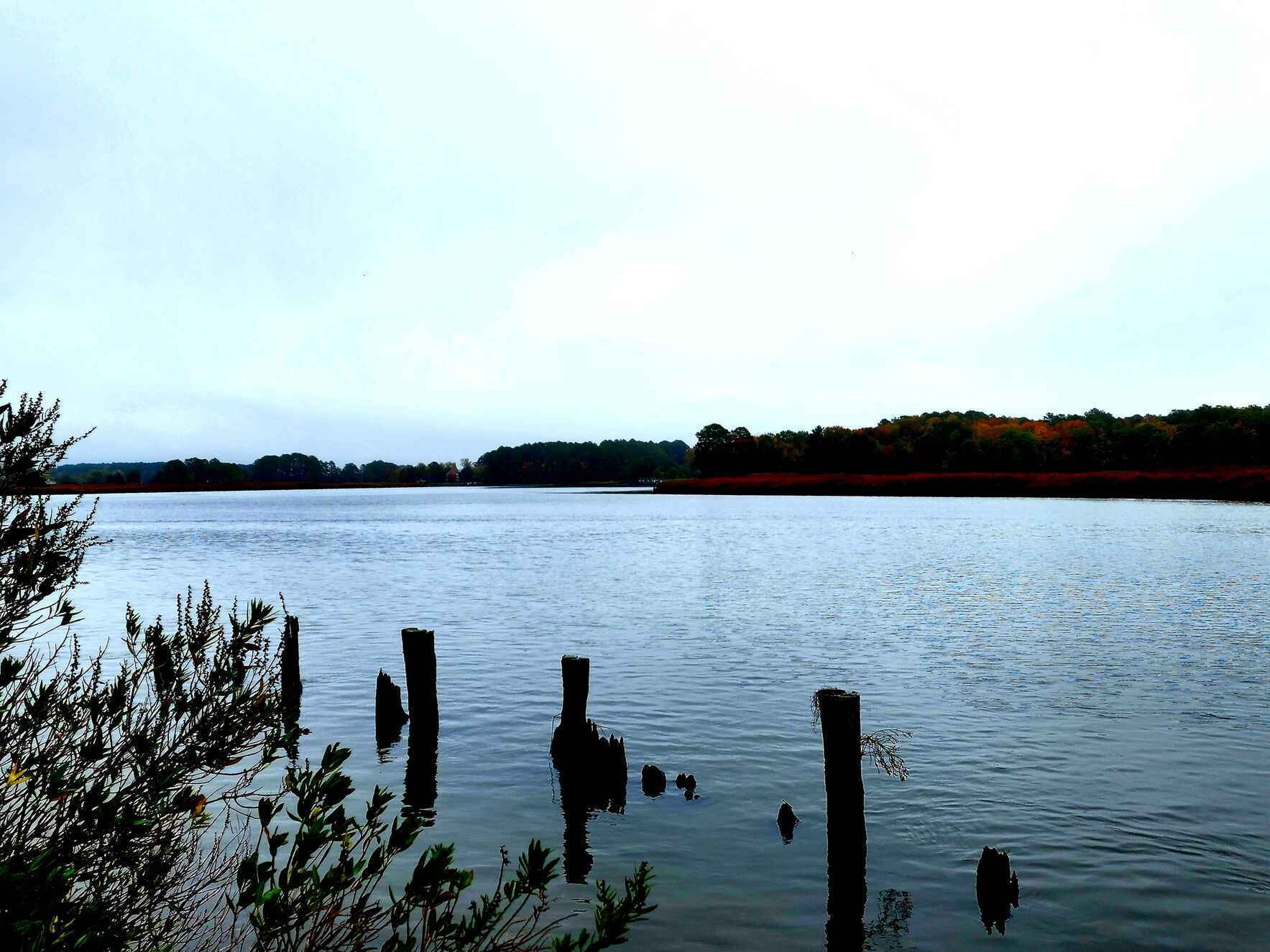 Join us in championing a healthy environment for all. image