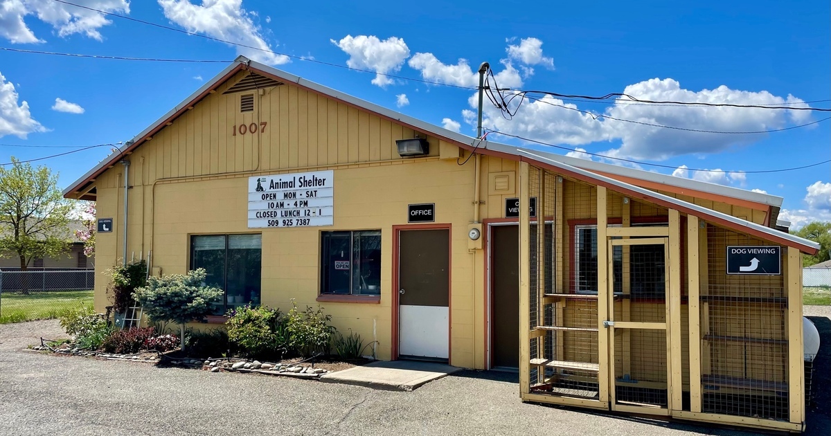 Yakima Humane Society Ellensburg